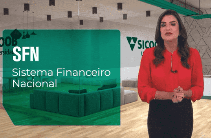 Entenda o Sistema Financeiro Nacional